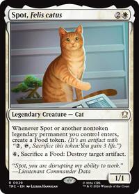 Spot, Felis catus