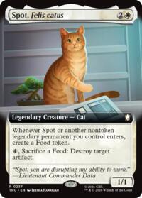 Spot, Felis catus (Extended Art)