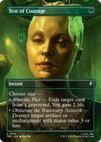 Test of Courage (Borderless)