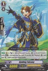 Guiding Falcony