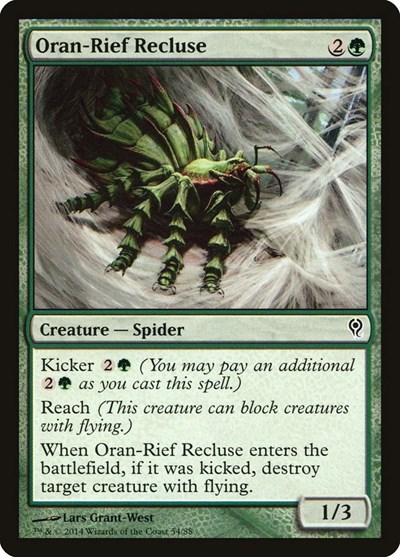 Oran Rief Recluse