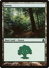 Forest (316) - Commander - Magic: The Gathering card