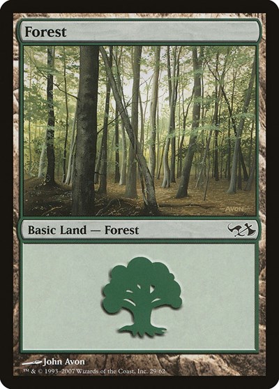 Forest