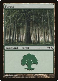 Forest (30)