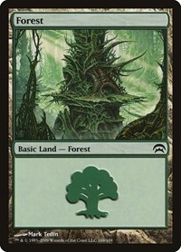 Forest (169) - Planechase - Magic: The Gathering card