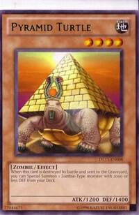Pyramid Turtle