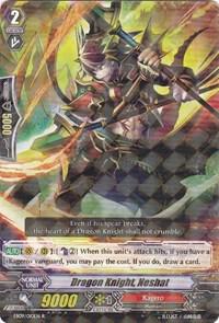 Dragon Knight, Neshat