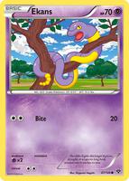 XY Base Set