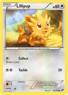 Lillipup (81)
