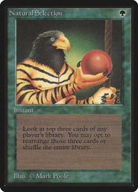 Natural Selection - Beta Edition - Magic: The Gathering card
