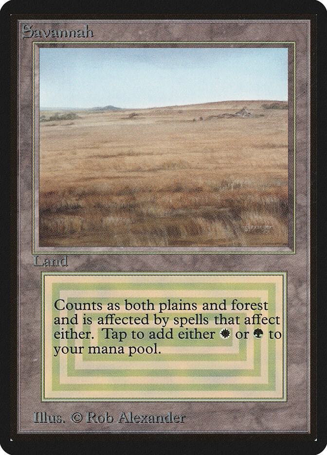 MTG「Savannah」