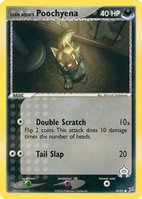 Team Aqua's Poochyena