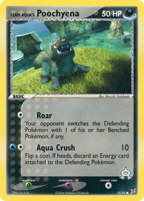 Team Aqua's Poochyena
