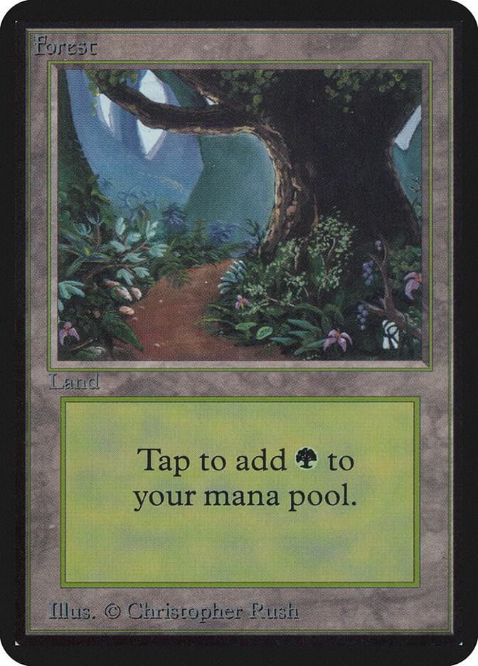 MTG 森 α PSA8 APAC3)《森/Forest》(Illus.Edward P.Beard Jr.)[APACランド