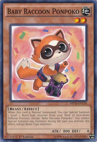 Baby Raccoon Ponpoko