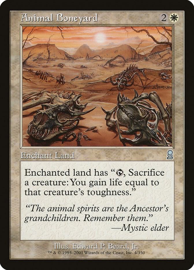mtg animal cards Amazon.com: Arcane Alterations Custom Proxy Collectible Card - Displacer  Kitten Altered Art
