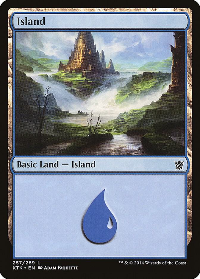 Island (257) 257 card
