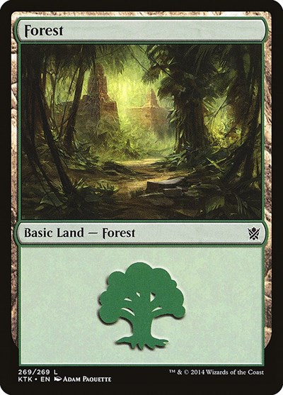 Forest (269)