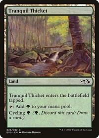 Tranquil Thicket (Duel Decks: Anthology)