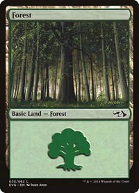 Forest (030) (EVG) - Duel Decks: Anthology - Magic: The Gathering card