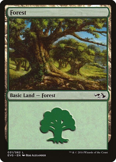 Forest (from EVG) from DD3 #31, Magic: The Gathering card