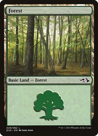 Forest (029) (EVG)