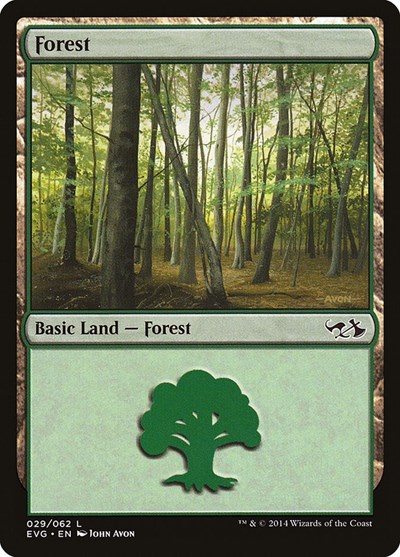 Forest (from EVG) from DD3 #29, Magic: The Gathering card