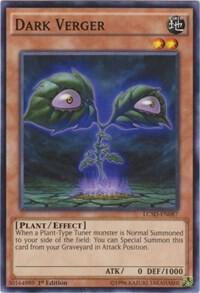 Dark Verger