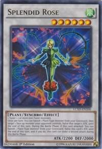 Splendid Rose