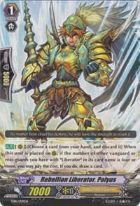 Rebellion Liberator, Polyus
