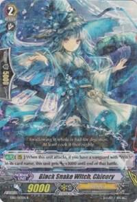 Black Snake Witch, Chicory