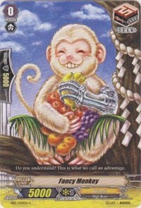 Fancy Monkey