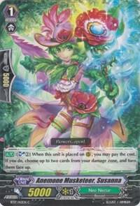 Anemone Musketeer, Susanna