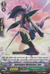 Hydrangea Musketeer, Ivar