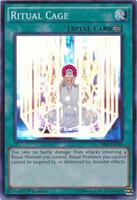 yugioh secret forces card list The Secret Forces  Yu-Gi-Oh! TRADING CARD GAME
