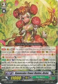 Ranunculus Flower Maiden, Ahsha