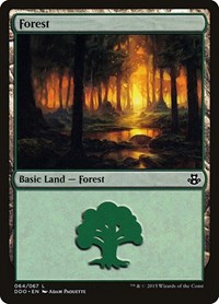 Forest (064) - Duel Decks: Elspeth vs. Kiora - Magic: The Gathering card