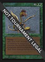 cockatrice mtg card database (IE) - International Edition Cockatrice · Fifth Edition (5ED)