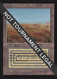Scrubland (IE) - International Edition - Magic: The Gathering card