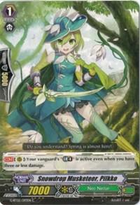 Snowdrop Musketeer, Pilkko