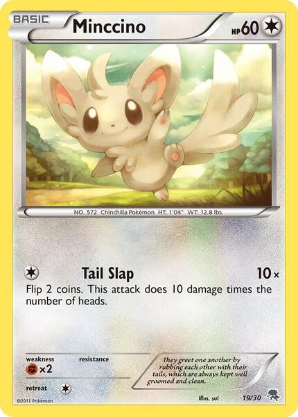 Minccino (#19)